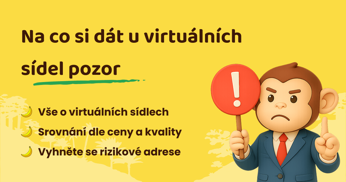 Rizika virtuálních sídel